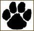 images/avatars/avatar-55.jpg